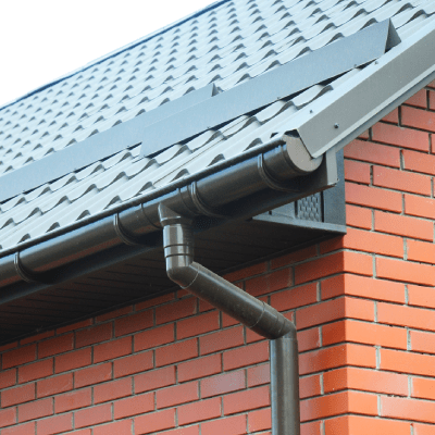 Gutter Cleaning